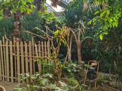 -呀路古热带植物园