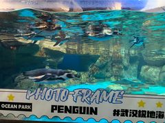 -海合安武汉极地海洋公园