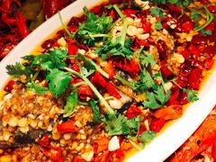 -杨氏青龙虾·羊蝎子(托乐嘉店)