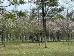 -风云岭森林公园