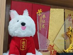 -东莞宠友24H宠物中心医院·转诊夜诊·异宠(新河北路院)