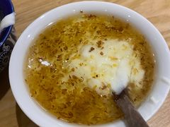 -古树酸奶(八廓南街店)