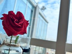-漾花汐·西餐·下午茶(苏州湾歌林公园店)