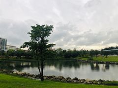 -宝安西湾红树林湿地公园