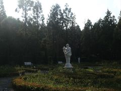 -东平国家森林公园