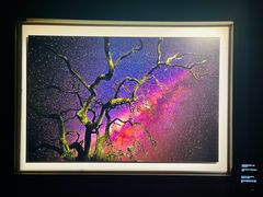 -罗红摄影艺术馆