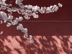 -浙江省杭州高级中学(贡院校区)