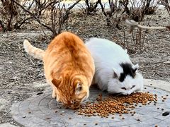 -大钟寺古钟博物馆
