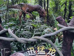 -广州长隆野生动物世界
