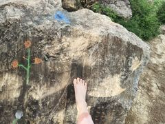 -天鹅湖体育公园