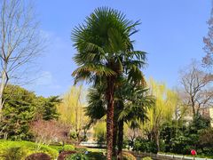 -兰溪青年公园