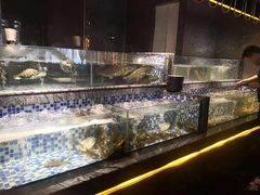 -喜庭海鲜自助(北辰三角洲北辰荟店)