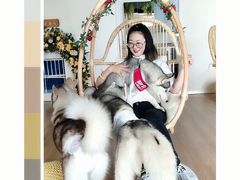 -Husky Go! 哈士奇体验馆·宠物咖啡厅狗咖