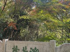 -杭州半山国家森林公园