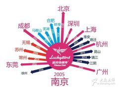 -金吉鸟健身游泳