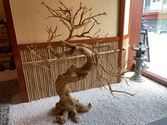 -荣一代目OMAKASE板前料理