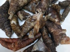 石斑鱼唇边皮-齐海鱼圣深海石斑鱼火锅店(极地海洋世界店)