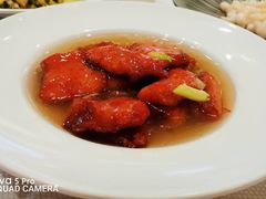 -新雅粤菜馆(南京东路店)