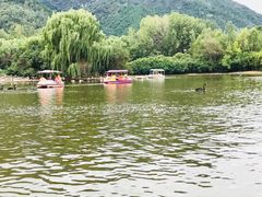 -西安秦岭野生动物园