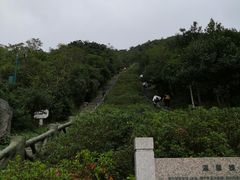 -梧桐山风景名胜区