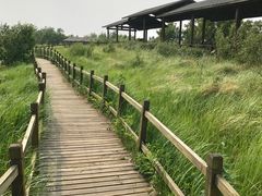 -野三坡百草畔景区