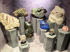 -正佳自然科学博物馆