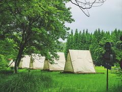 -宜兴龙背山森林公园