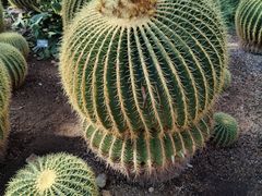 -北京植物园-展览温室