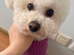 -艾贝尔宠物医院·24H转诊中心·肿瘤猫专科(江宁双龙店)