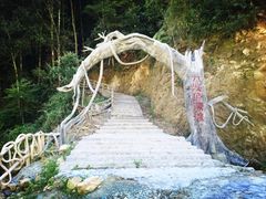 -龙岩森林水乡景区