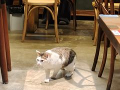 -水先生寧波菜(天一店)