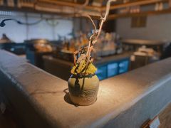 -元古雲境(太古里店)