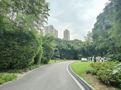 -苏州河梦清园环保主题公园