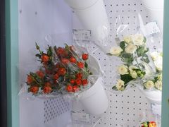 -闸弄口(地铁站)