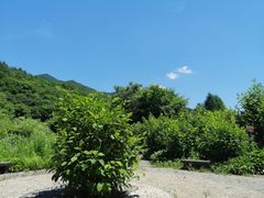 -三块石国家森林公园