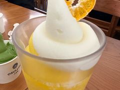 -雪绿茶博物馆
