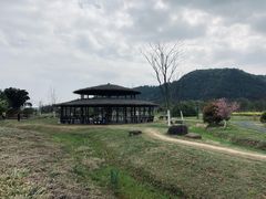-径山花海