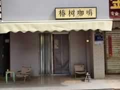 -椿树咖啡