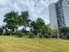 -白鹭湾湿地公园