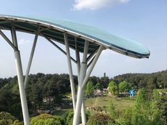 -铁山坪森林公园