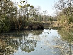 -烟水渔庄餐厅(西溪湿地店)