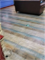 -东晨宝格丽品质造型