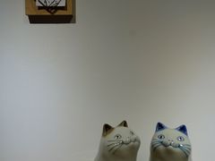 -猫里有甜