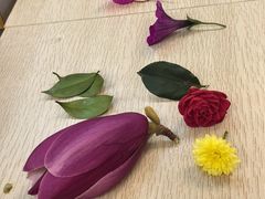 -上海中医药大学-食堂