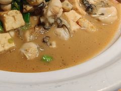 -宋小谨(惠安禹洲店)