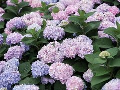 -常州古运河南大街文化旅游区-人民公园