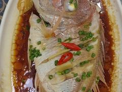 -梅子大排档