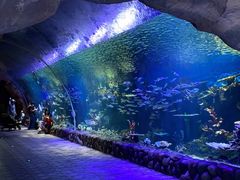 -华夏文旅海洋公园