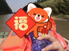 -黄海国家森林公园