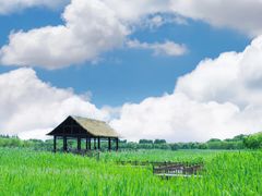 -DQ·蛋糕·冰淇淋(通州万达店)